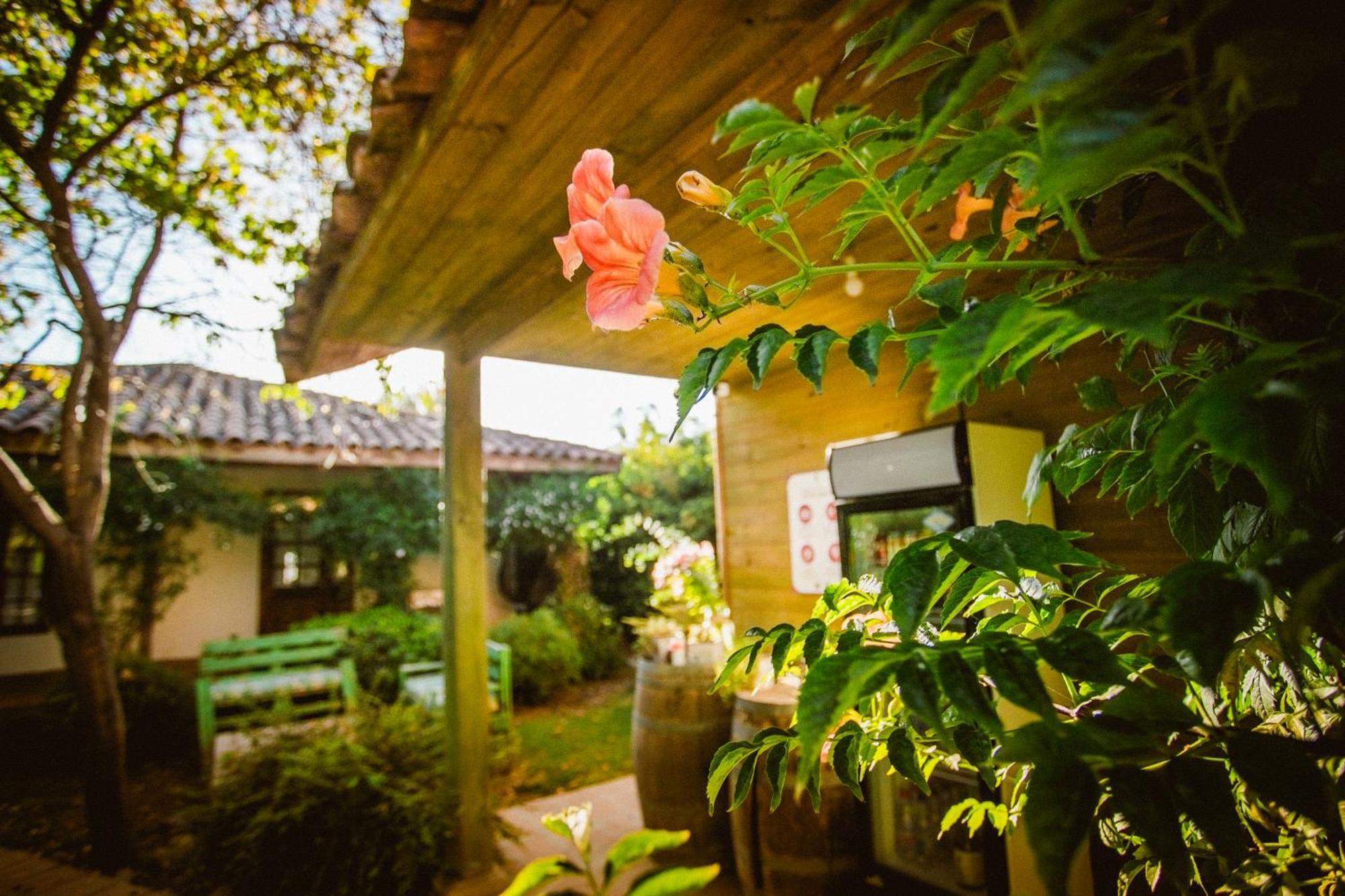 Hotel Hoja De Parra Санта-Крус Экстерьер фото